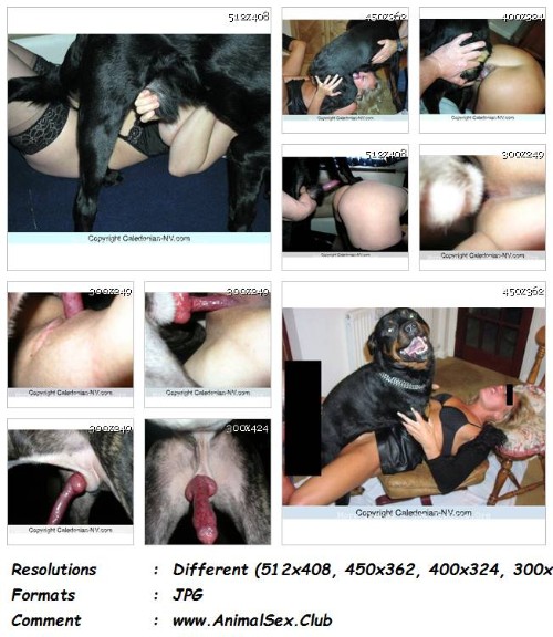 [Image: 016_ZF_More_Kitty_And_Ty_-_Zoosex_Pictur...x_Pics.jpg]