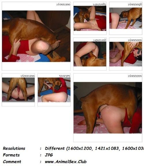 [Image: 040_ZF_My_Wife_With_Our_Male_Boxer_-_8_ZooSex_Pics.jpg]