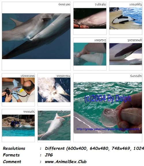 [Image: 059_ZF_Dolphin_Cock_-_Bestiality_Dolphin.jpg]