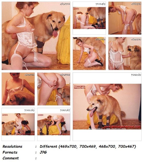 124 ZF Dog Bestiality Perversions Vol.07   17 Bestiality Pics - Dog Bestiality Perversions Vol.07 - 17 AnimalSex Pictures