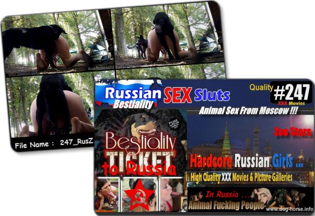 247 RusZ Cover - 247 RusZ - Russian Bestiality porn