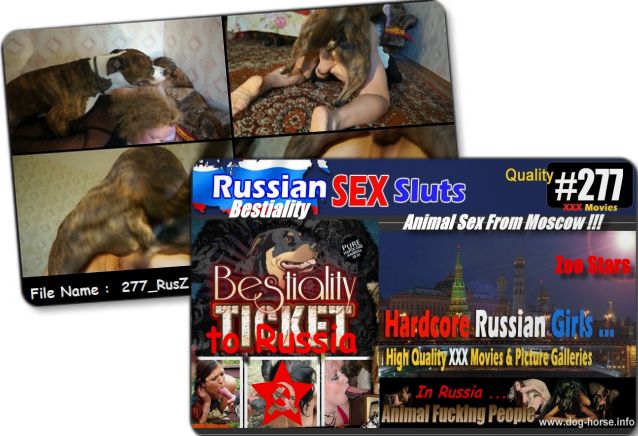 277 RusZ Cover - 277 RusZ - Russian Bestiality porn