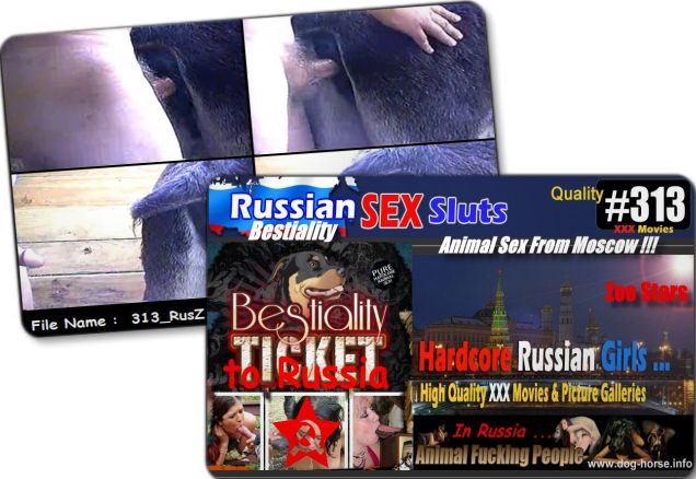 313 RusZ Cover - 313 RusZ - Russian Bestiality porn