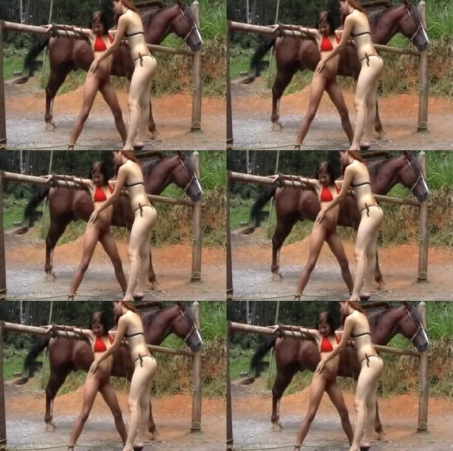 557 HrSx Horse Dick Love MILF - Horse Dick Love MILF - Horse Bestiality Video