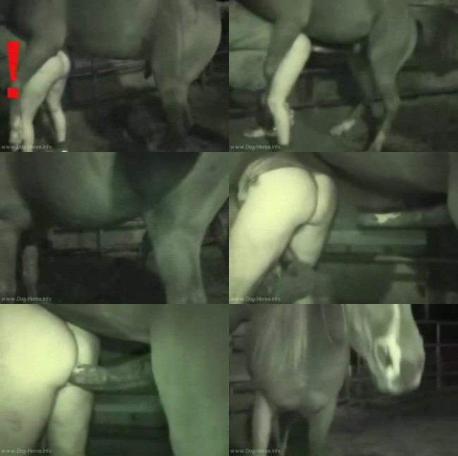 595 HrSx Animal Stallionsex Stallion Do Man Movie - Animal-Stallionsex-Stallion Do Man-Movie - Download Horse Porn