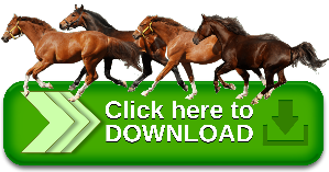 ButtonHrSx - HORSE PORN VIDEOS